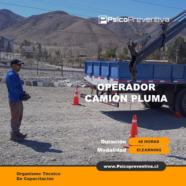 OPERADOR DE CAMIÓN PLUMA